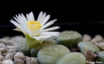 Đóng bàn ghế